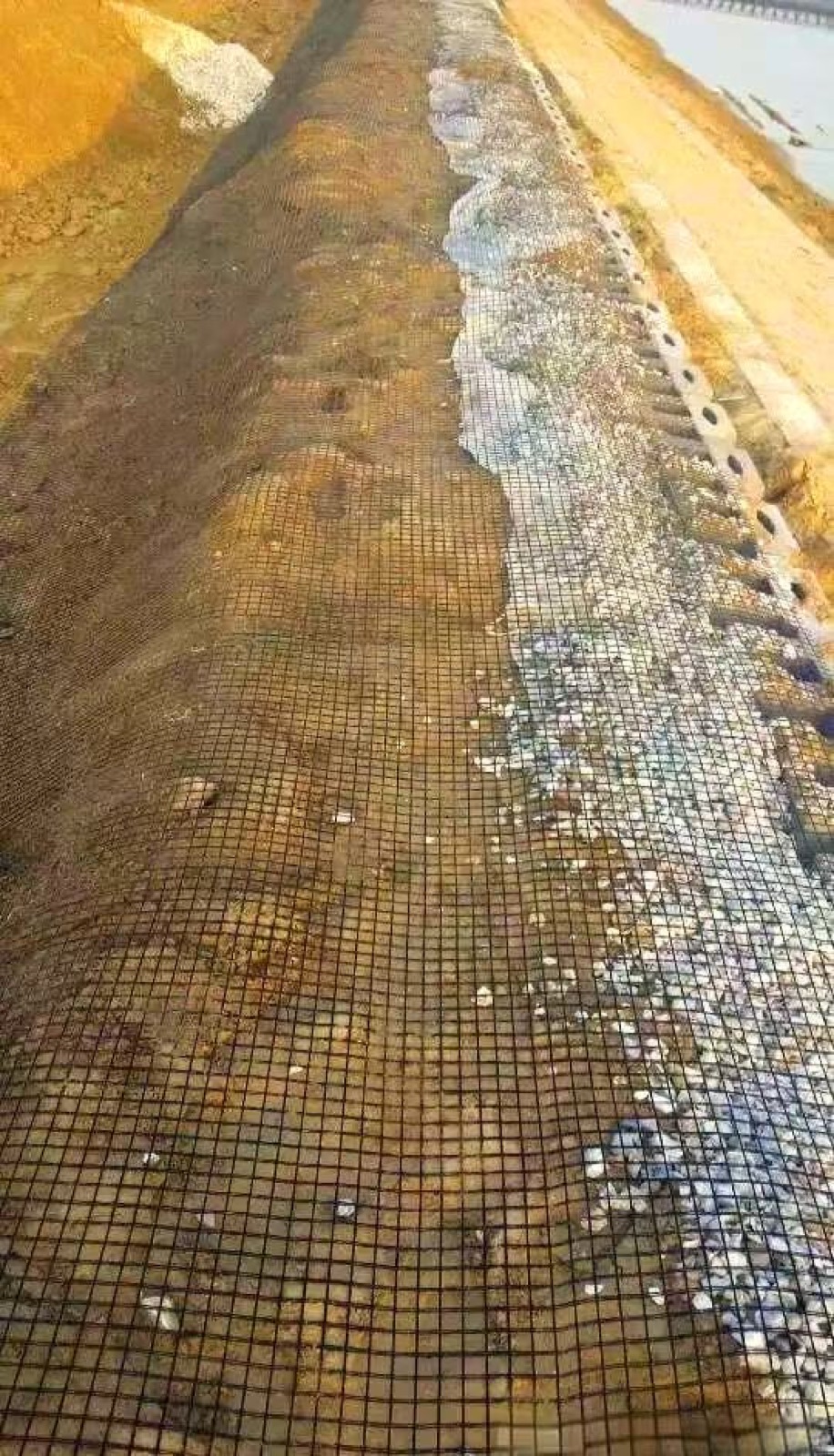 Gabion mesh for riverbank and retaining structures